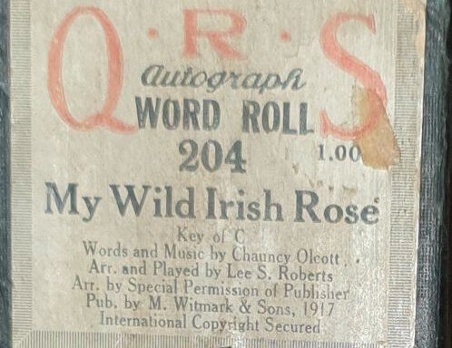 My wild Irish Rose